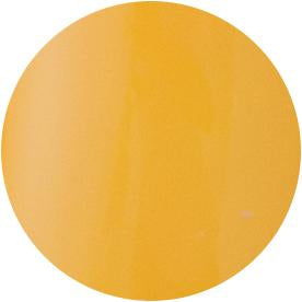 PRESTO COLOR GEL SC-071 [10G] [BOTTLE]