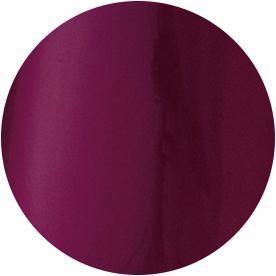 PRESTO COLOR GEL SC-077 [10G] [BOTTLE]