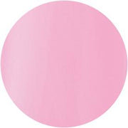 PRESTO COLOR GEL SC-132 [10G] [BOTTLE]