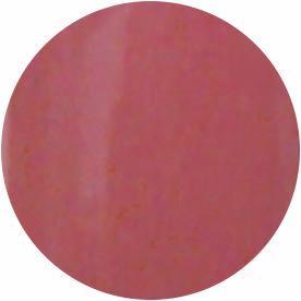 PRESTO COLOR GEL SC-155 [10G] [BOTTLE]