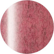 PRESTO COLOR GEL SC-222 [10G] [BOTTLE]