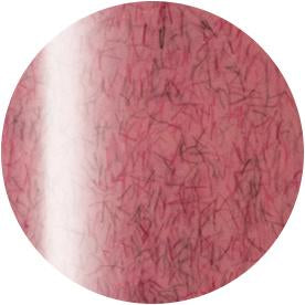 PRESTO COLOR GEL SC-222 [10G] [BOTTLE]