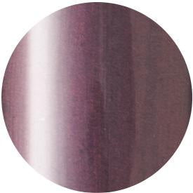 PRESTO COLOR GEL SC-238 [10G] [BOTTLE]