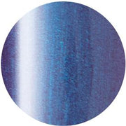 PRESTO COLOR GEL SC-241 [10G] [BOTTLE]