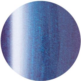 PRESTO COLOR GEL SC-241 [10G] [BOTTLE]