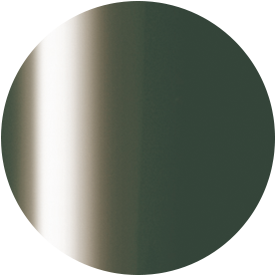 PRESTO COLOR GEL SC-279 [10G] [BOTTLE]