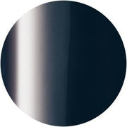 PRESTO COLOR GEL SC-281 [10G] [BOTTLE]