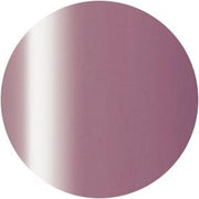 PRESTO COLOR GEL SC-282 [10G] [BOTTLE]