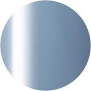 PRESTO COLOR GEL SC-283 [10G] [BOTTLE]