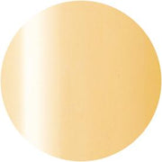 PRESTO COLOR GEL SC-284 [10G] [BOTTLE]