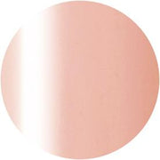 PRESTO COLOR GEL SC-285 [10G] [BOTTLE]