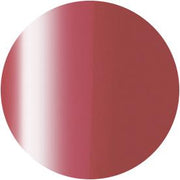 PRESTO COLOR GEL SC-286 [10G] [BOTTLE]