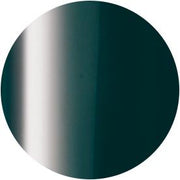 PRESTO COLOR GEL SC-289 [10G] [BOTTLE]