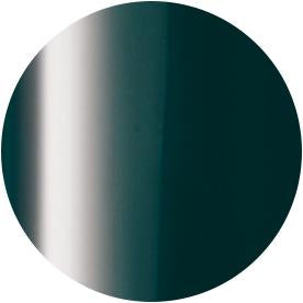 PRESTO COLOR GEL SC-289 [10G] [BOTTLE]