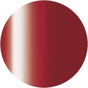 PRESTO COLOR GEL SC-294 [10G] [BOTTLE]