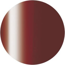 PRESTO COLOR GEL SC-295 [10G] [BOTTLE]