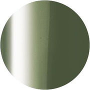 PRESTO COLOR GEL SC-296 [10G] [BOTTLE]