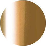 PRESTO COLOR GEL SC-298 [10G] [BOTTLE]