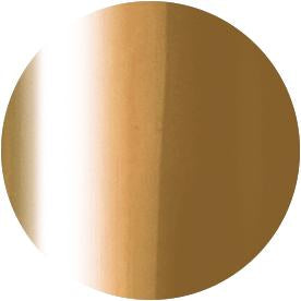 PRESTO COLOR GEL SC-298 [10G] [BOTTLE]