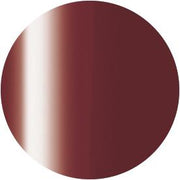 PRESTO COLOR GEL SC-299 [10G] [BOTTLE]