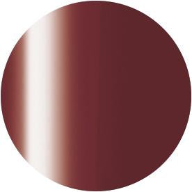 PRESTO COLOR GEL SC-299 [10G] [BOTTLE]