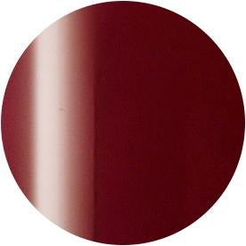 PRESTO COLOR GEL SC-312 [10G] [BOTTLE]