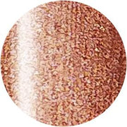 PRESTO COLOR GEL SC-313 [10G] [BOTTLE]