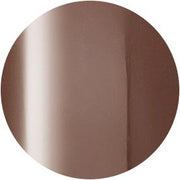 PRESTO COLOR GEL SC-316 [10G] [BOTTLE]