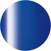 PRESTO COLOR GEL SC-318 [10G] [BOTTLE]