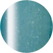 PRESTO COLOR GEL SC-319 [10G] [BOTTLE]