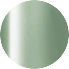 PRESTO COLOR GEL SC-320 [10G] [BOTTLE]