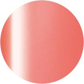 PRESTO COLOR GEL SC-321 [10G] [BOTTLE]