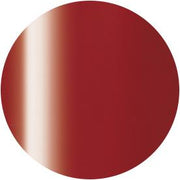 PRESTO COLOR GEL SC-322 [10G] [BOTTLE]