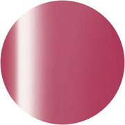 PRESTO COLOR GEL SC-323 [10G] [BOTTLE]