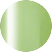 PRESTO COLOR GEL SC-324 [10G] [BOTTLE]