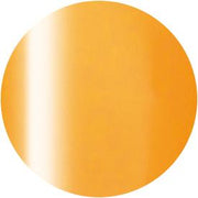 PRESTO COLOR GEL SC-325 [10G] [BOTTLE]