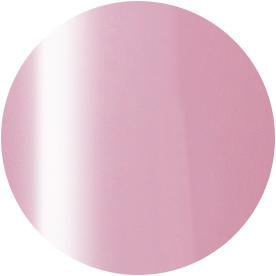 PRESTO COLOR GEL SC-326 [10G] [BOTTLE]