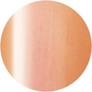 PRESTO COLOR GEL SC-331 [10G] [BOTTLE]