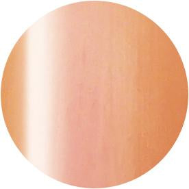 PRESTO COLOR GEL SC-331 [10G] [BOTTLE]