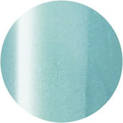 PRESTO COLOR GEL SC-333 [10G] [BOTTLE]