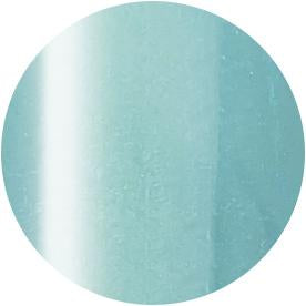 PRESTO COLOR GEL SC-333 [10G] [BOTTLE]