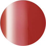 PRESTO COLOR GEL SC-337 [10G] [BOTTLE]