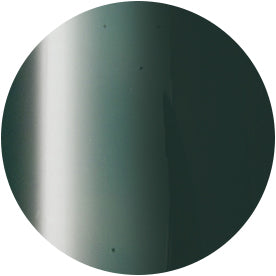 PRESTO COLOR GEL SC-338 [10G] [BOTTLE]