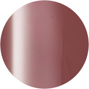 PRESTO COLOR GEL SC-339 [10G] [BOTTLE]