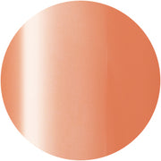 PRESTO COLOR GEL SC-340 [10G] [BOTTLE]