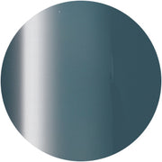 PRESTO COLOR GEL SC-341 [10G] [BOTTLE]