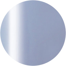 PRESTO COLOR GEL SC-343 [10G] [BOTTLE]