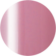 PRESTO COLOR GEL SC-346 [10G] [BOTTLE]