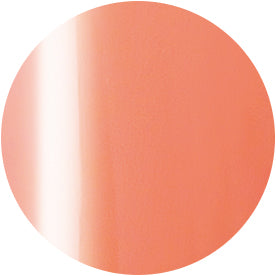 PRESTO COLOR GEL SC-352 [10G] [BOTTLE]