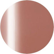 PRESTO COLOR GEL SC-355 [10G] [BOTTLE]